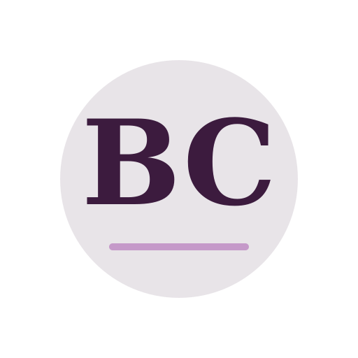 Bovi Chimney Services logo